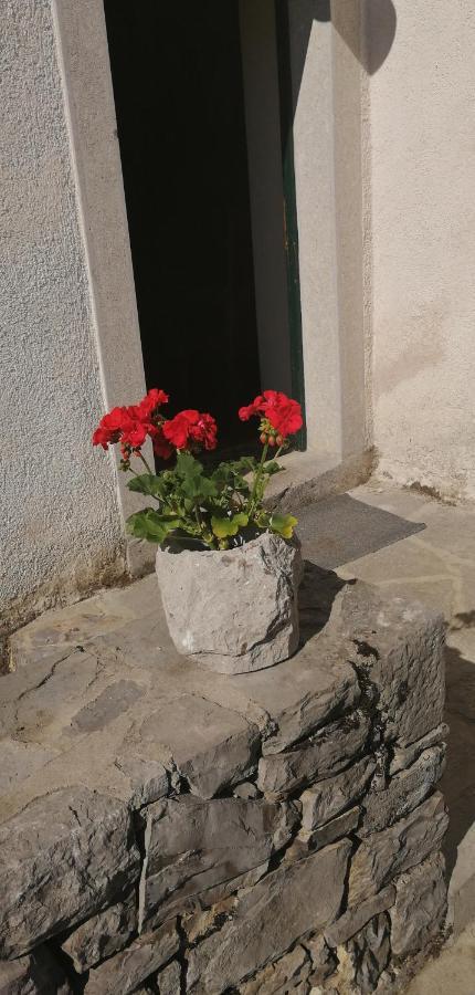 Hostel Škrla Divača Buitenkant foto